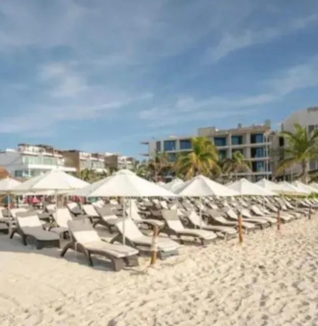 Playa Suites contacts